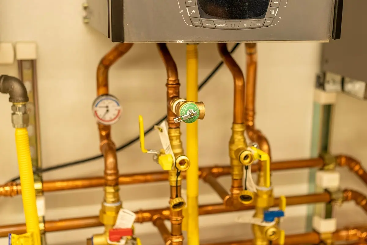 Licensed technician providing Sump Pump Repair for a homeowner in South Lakes